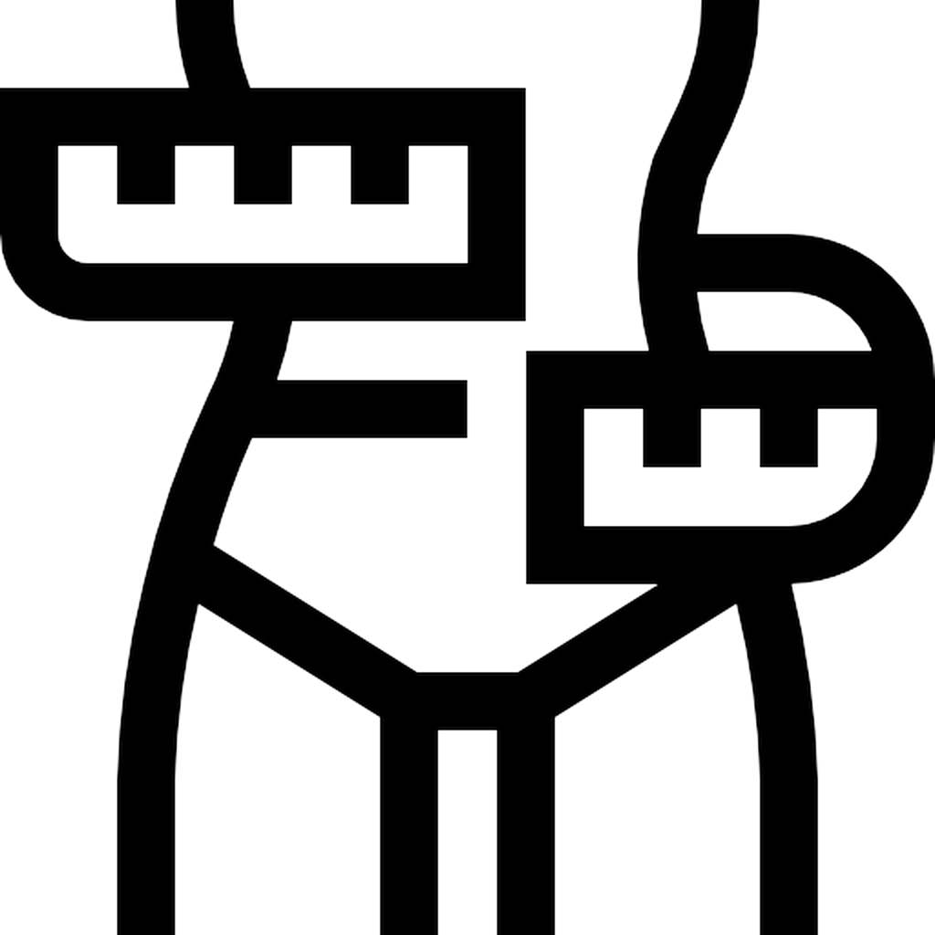 خصائص المقاس