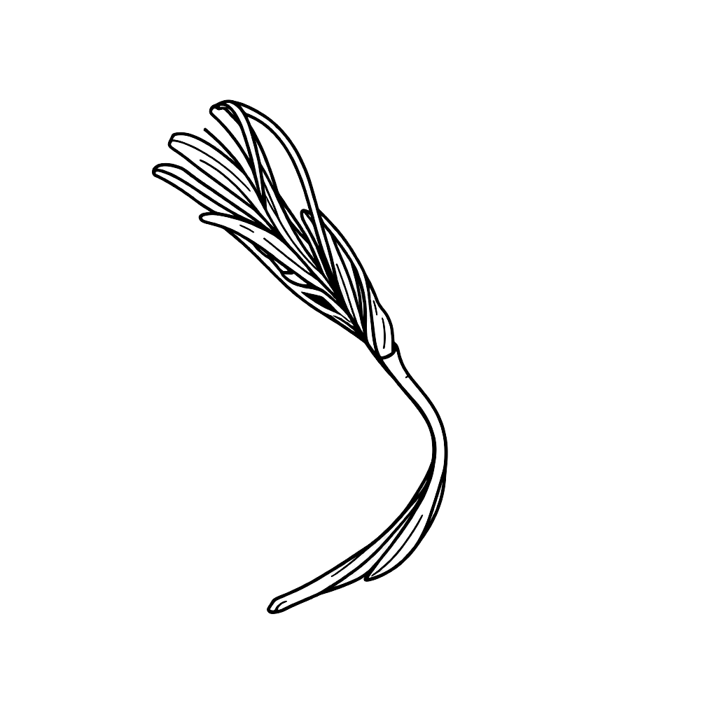 Main Fiber Type